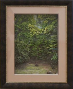 ���q�a�ٓ̕���